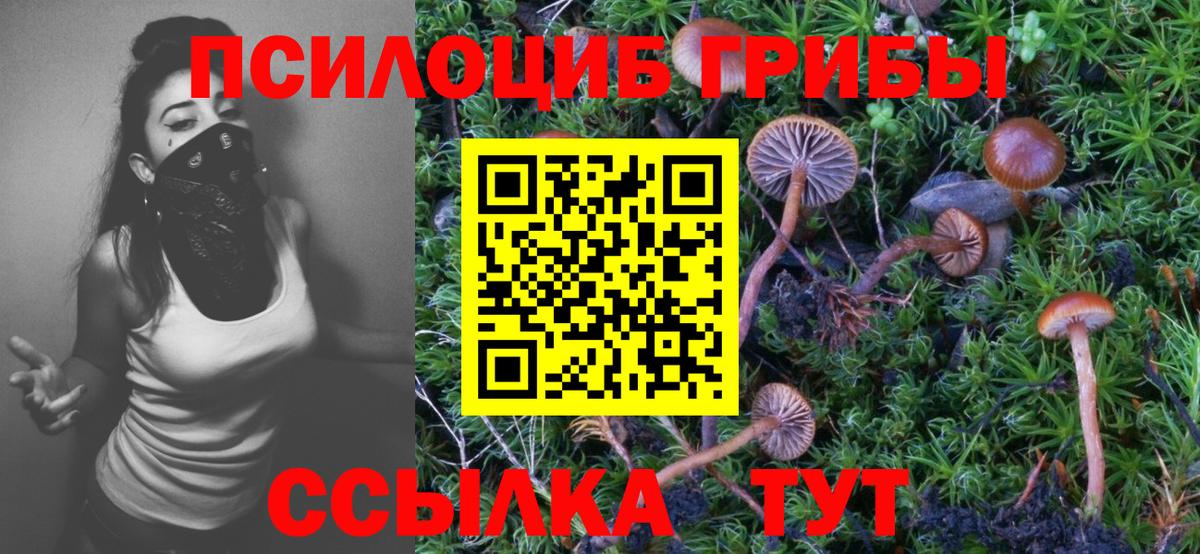 Галлюциногенные грибы ЛСД Нягань