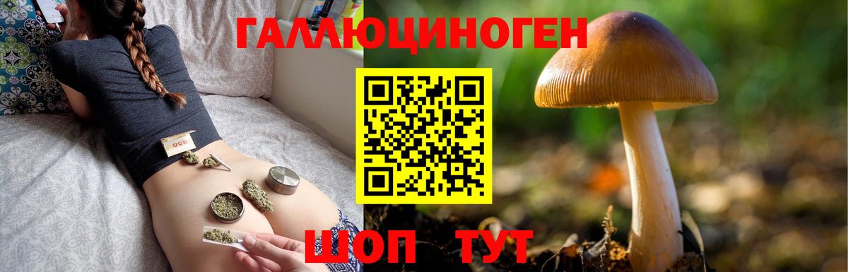 наркота  Галлюциногенные грибы Psilocybe  Нягань  Вход с VPN  Псилоцибиновые грибы MAGIC MUSHROOMS 